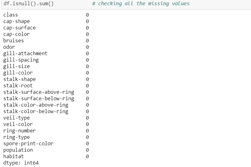 null values.PNG